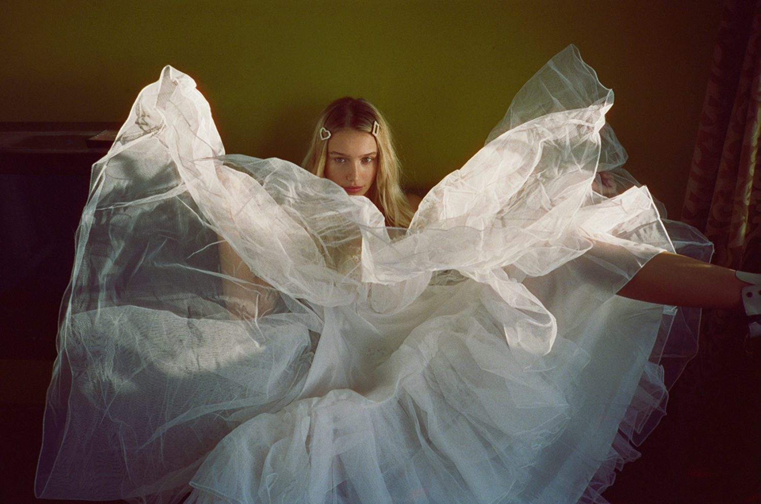 sequoia lace mini dress